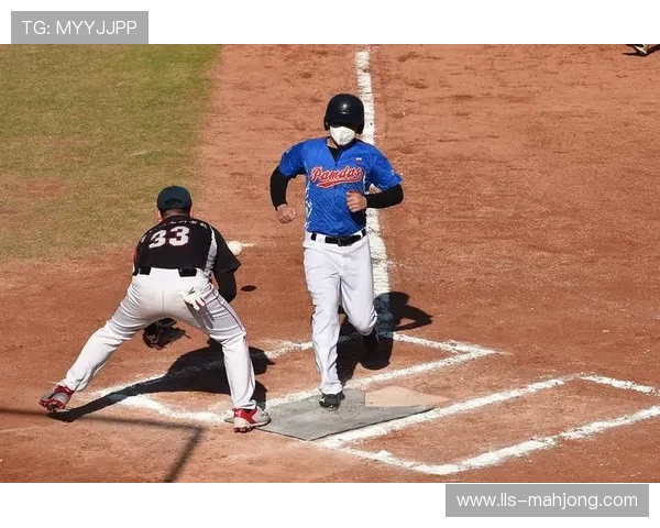 中山国际棒垒球中心设施获认可,有望承接更多高水平赛事